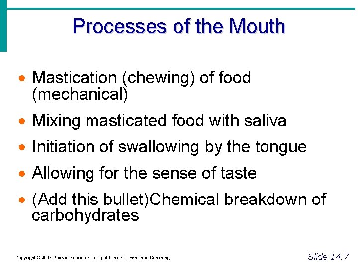 Processes of the Mouth · Mastication (chewing) of food (mechanical) · Mixing masticated food