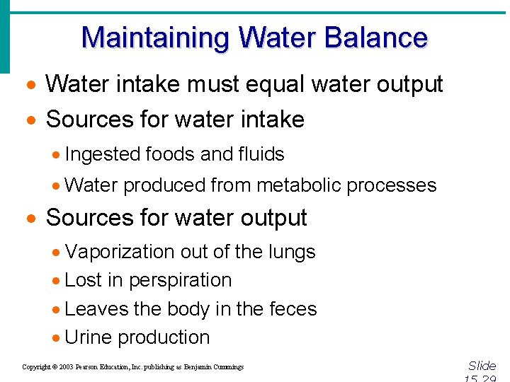 Maintaining Water Balance · Water intake must equal water output · Sources for water