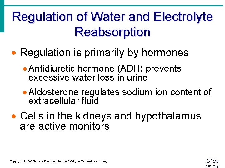 Regulation of Water and Electrolyte Reabsorption · Regulation is primarily by hormones · Antidiuretic
