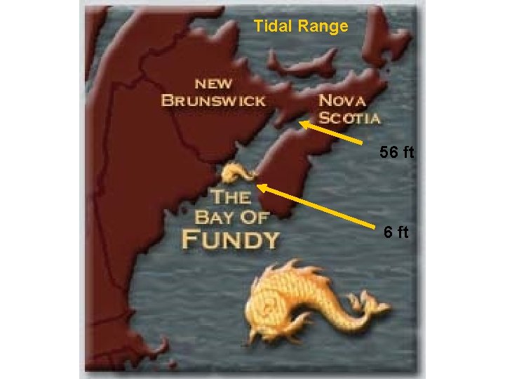 Tidal Range 56 ft 