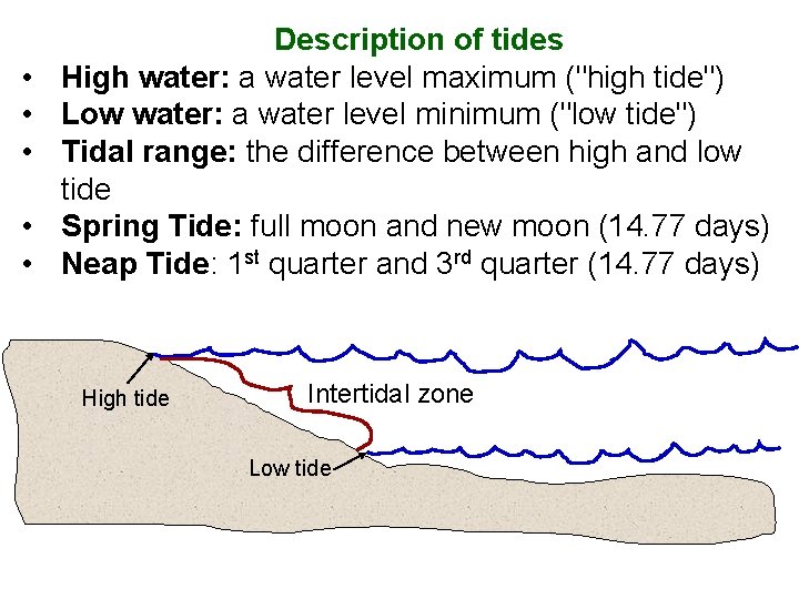  • • • Description of tides High water: a water level maximum ("high