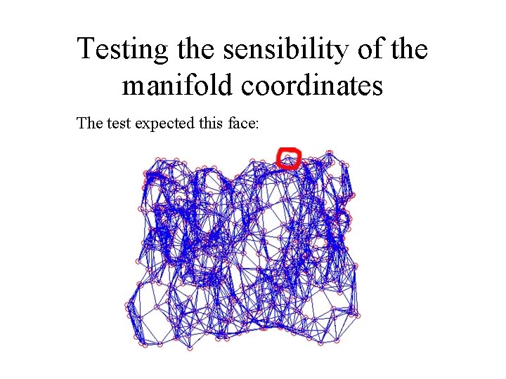 Testing the sensibility of the manifold coordinates The test expected this face: 