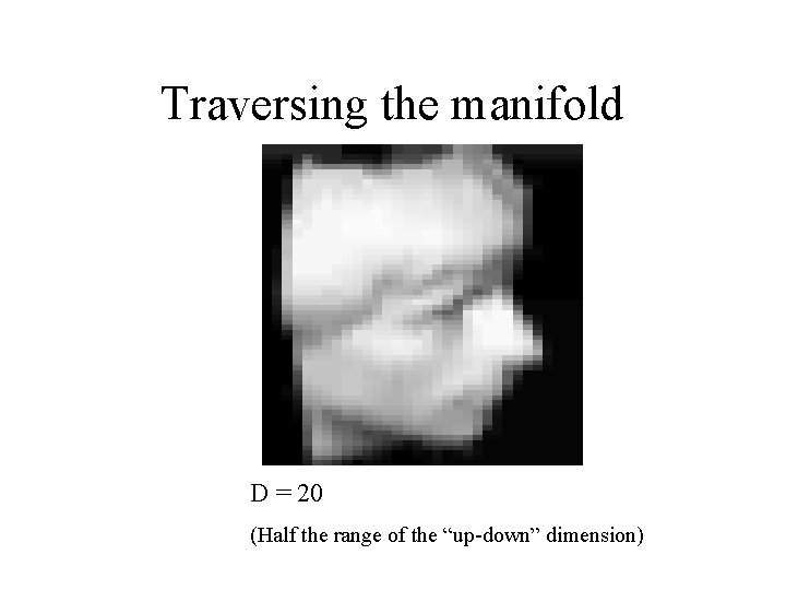 Traversing the manifold D = 20 (Half the range of the “up-down” dimension) 