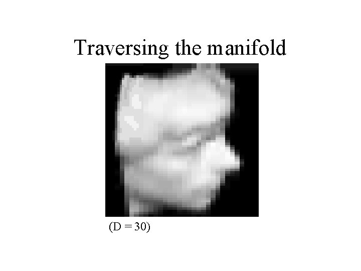 Traversing the manifold (D = 30) 