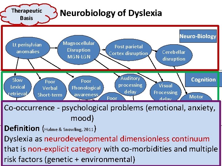 Therapeutic Basis Neurobiology of Dyslexia Neuro‐Biology Lt perisylvian anomalies Slow Lexical retrieval Poor Verbal