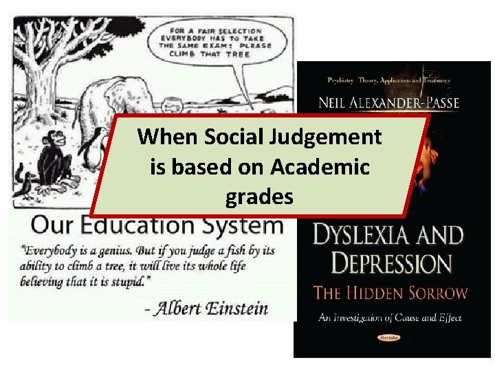 When Social Judgement is based on Academic grades 