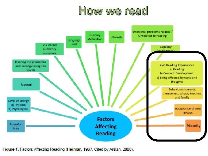 How we read 