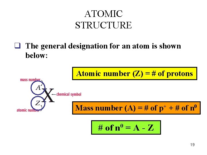 ATOMIC STRUCTURE q The general designation for an atom is shown below: Atomic number