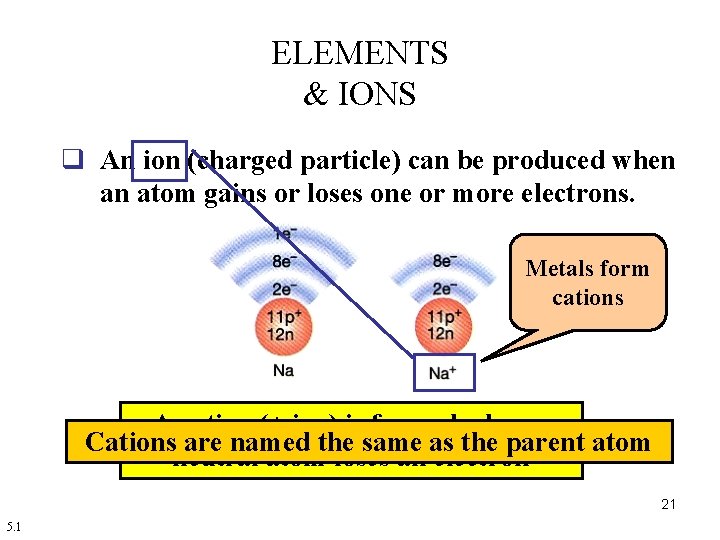 ELEMENTS & IONS q An ion (charged particle) can be produced when an atom