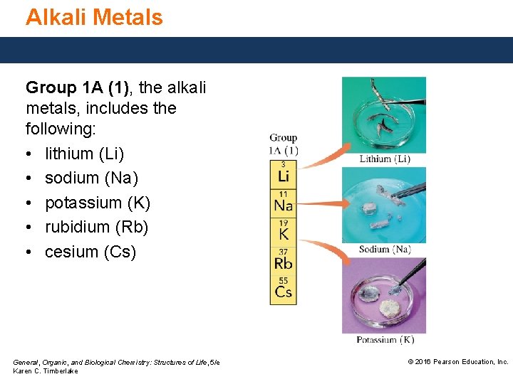 Alkali Metals Group 1 A (1), the alkali metals, includes the following: • lithium