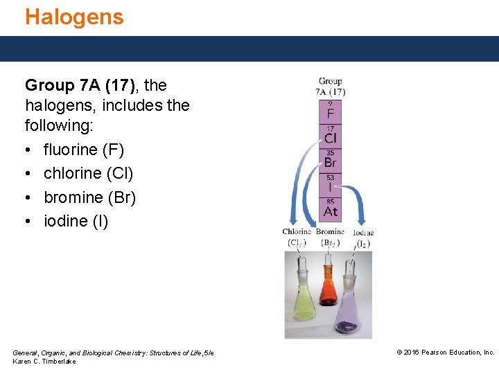 Halogens Group 7 A (17), the halogens, includes the following: • fluorine (F) •