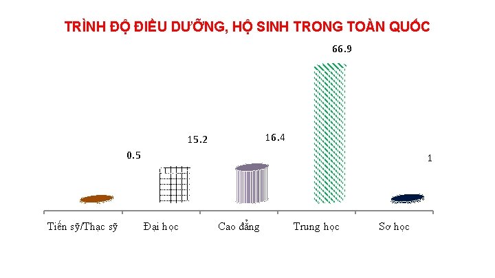 TRÌNH ĐỘ ĐIỀU DƯỠNG, HỘ SINH TRONG TOÀN QUỐC 66. 9 16. 4 15.