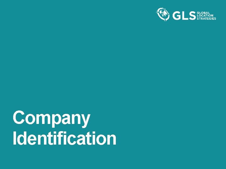 Company Identification 