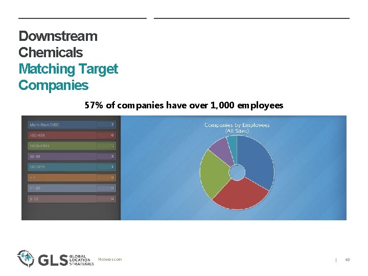 Downstream Chemicals Matching Target Companies 57% of companies have over 1, 000 employees Hoovers.