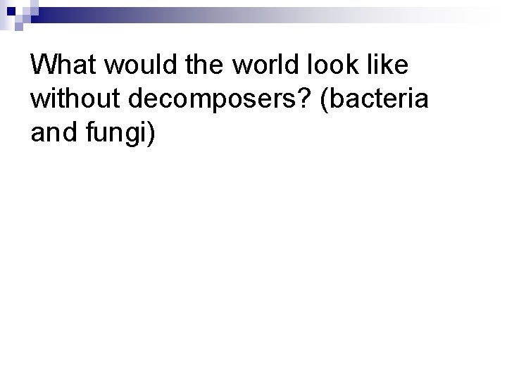 What would the world look like without decomposers? (bacteria and fungi) 
