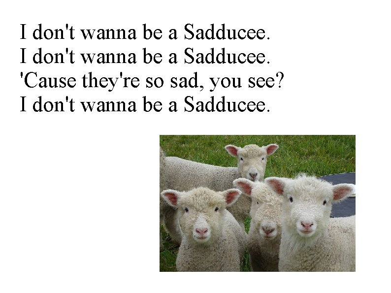 I don't wanna be a Sadducee. 'Cause they're so sad, you see? I don't