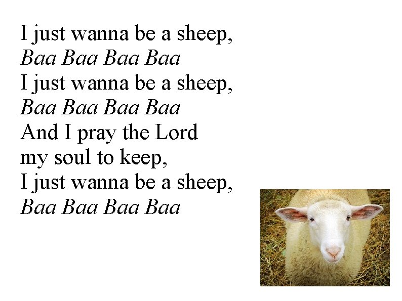 I just wanna be a sheep, Baa Baa And I pray the Lord my