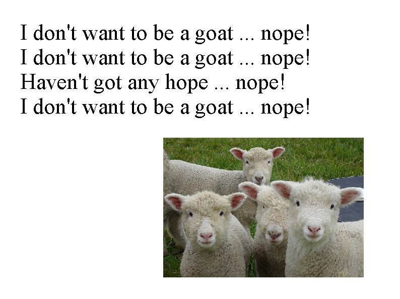 I don't want to be a goat. . . nope! Haven't got any hope.