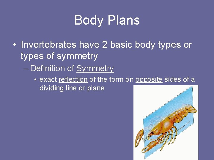 Body Plans • Invertebrates have 2 basic body types or types of symmetry –