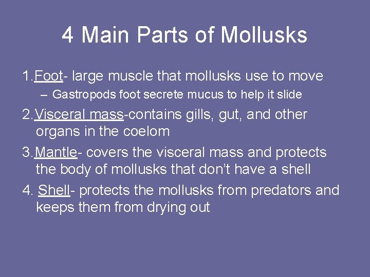 4 Main Parts of Mollusks 1. Foot- large muscle that mollusks use to move