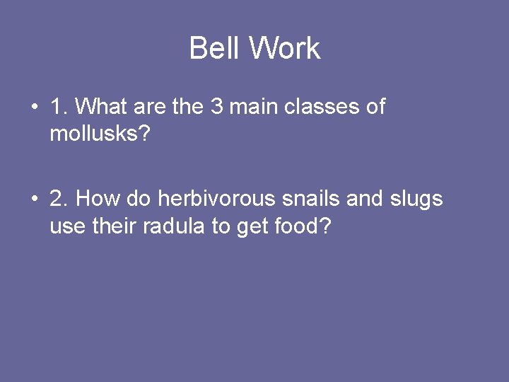 Bell Work • 1. What are the 3 main classes of mollusks? • 2.