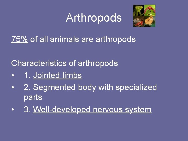 Arthropods 75% of all animals are arthropods Characteristics of arthropods • 1. Jointed limbs