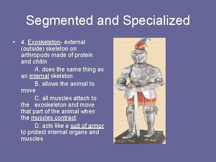 Segmented and Specialized • 4. Exoskeleton- external (outside) skeleton on arthropods made of protein