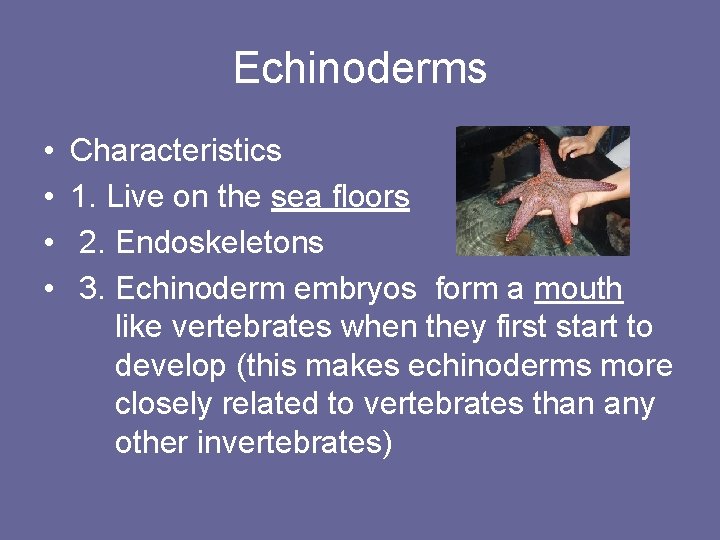 Echinoderms • • Characteristics 1. Live on the sea floors 2. Endoskeletons 3. Echinoderm