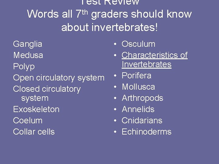 Test Review Words all 7 th graders should know about invertebrates! Ganglia Medusa Polyp