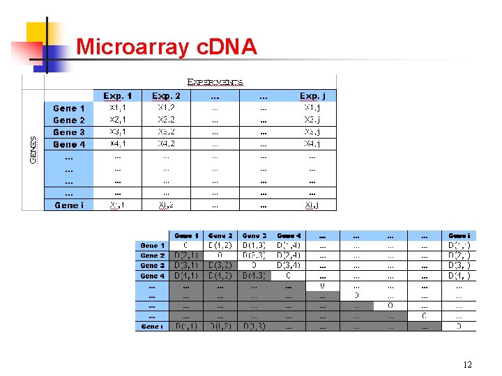 Microarray c. DNA 12 