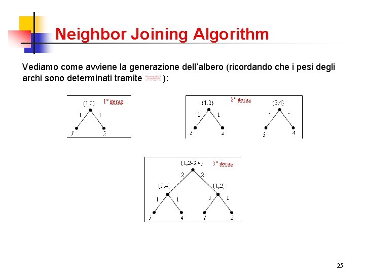 Neighbor Joining Algorithm Vediamo come avviene la generazione dell’albero (ricordando che i pesi degli