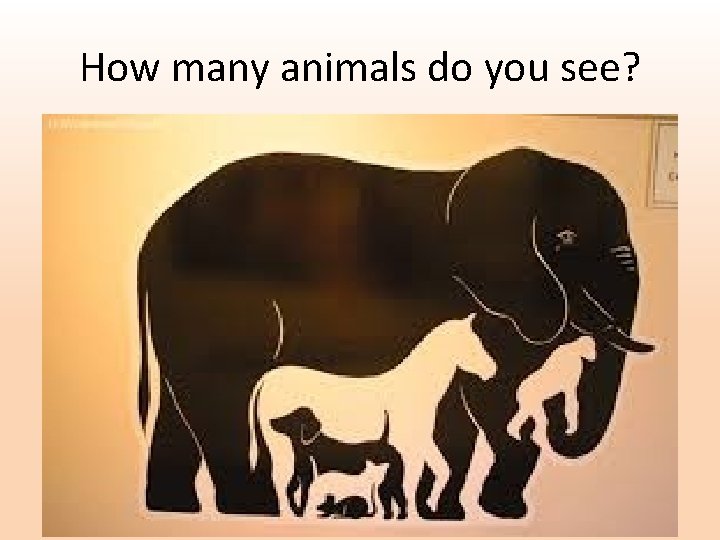 How many animals do you see? 