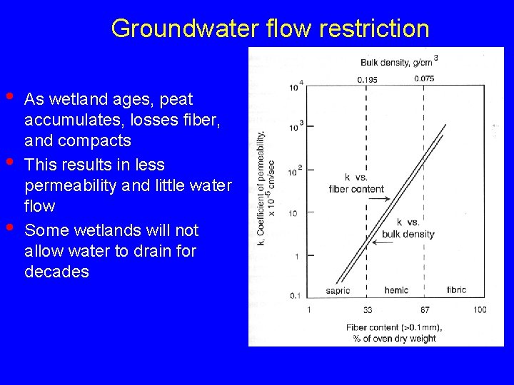 Groundwater flow restriction • • • As wetland ages, peat accumulates, losses fiber, and