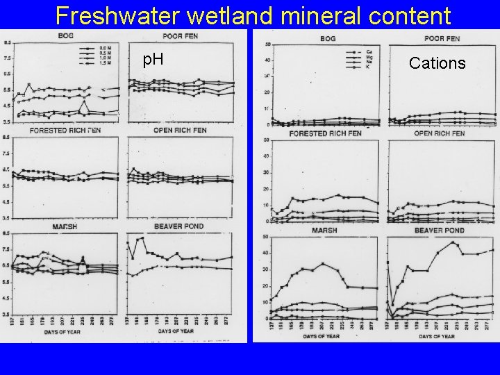 Freshwater wetland mineral content p. H Cations 