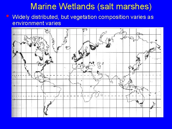  • Marine Wetlands (salt marshes) Widely distributed, but vegetation composition varies as environment