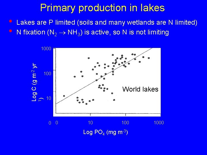 Primary production in lakes Lakes are P limited (soils and many wetlands are N