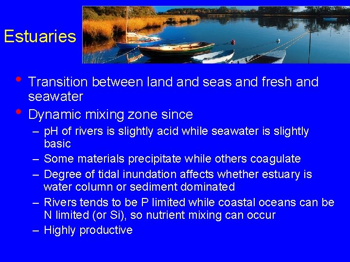 Estuaries • Transition between land seas and fresh and • seawater Dynamic mixing zone