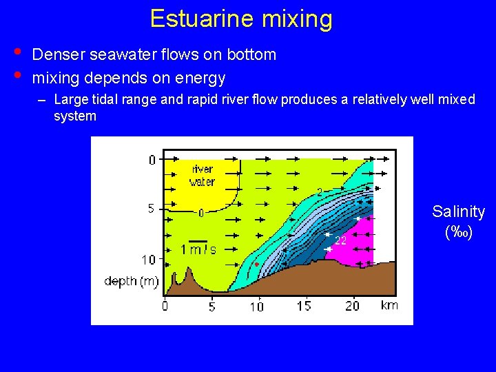 Estuarine mixing • • Denser seawater flows on bottom mixing depends on energy –