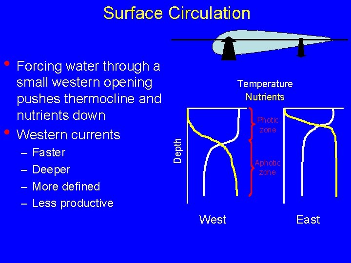 Surface Circulation • Forcing water through a – – Faster Deeper More defined Less