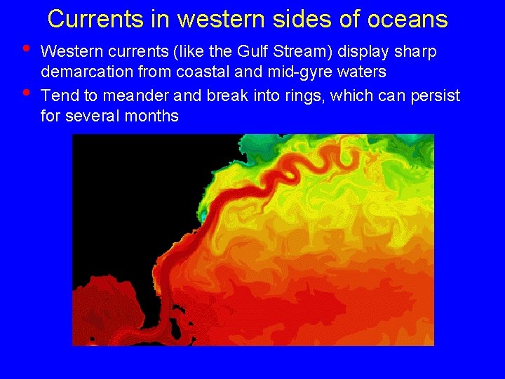 Currents in western sides of oceans • • Western currents (like the Gulf Stream)