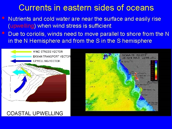 Currents in eastern sides of oceans • • Nutrients and cold water are near