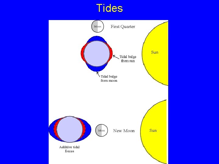 Tides 