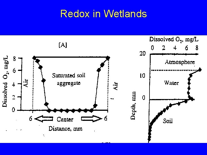 Redox in Wetlands 