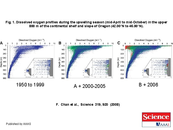 Fig. 1. Dissolved oxygen profiles during the upwelling season (mid-April to mid-October) in the