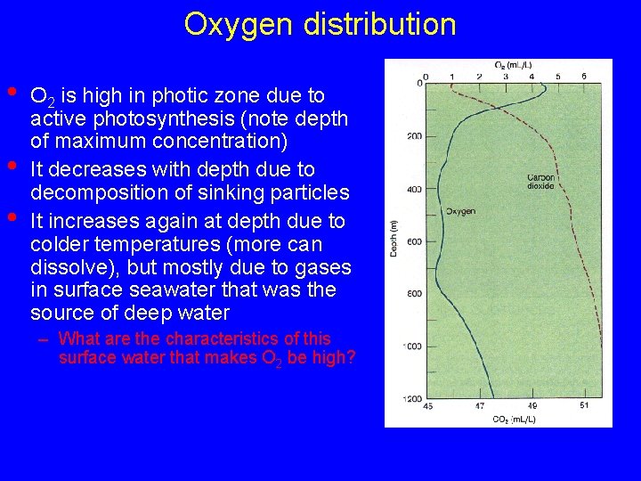 Oxygen distribution • • • O 2 is high in photic zone due to