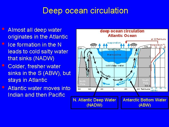 Deep ocean circulation • • Almost all deep water originates in the Atlantic Ice