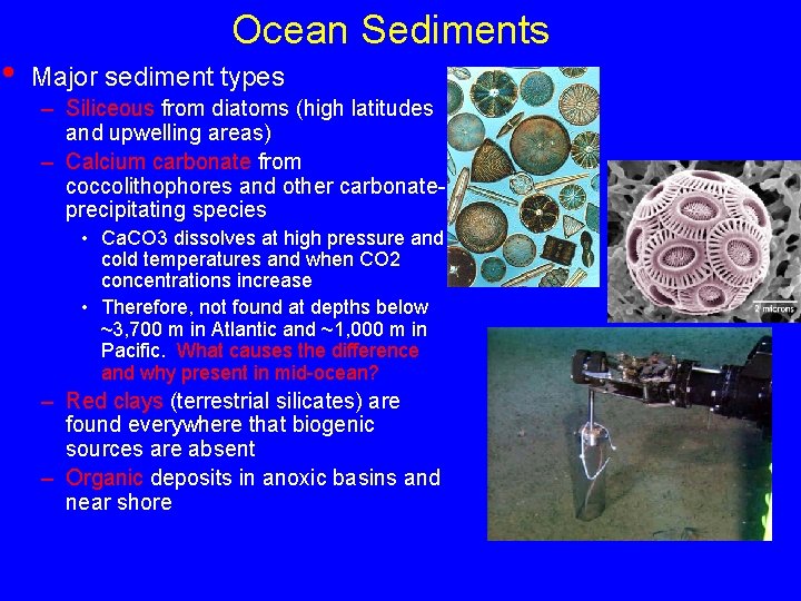  • Ocean Sediments Major sediment types – Siliceous from diatoms (high latitudes and