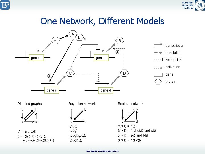 Humboldt. Universität Zu Berlin One Network, Different Models A A B B transcription +