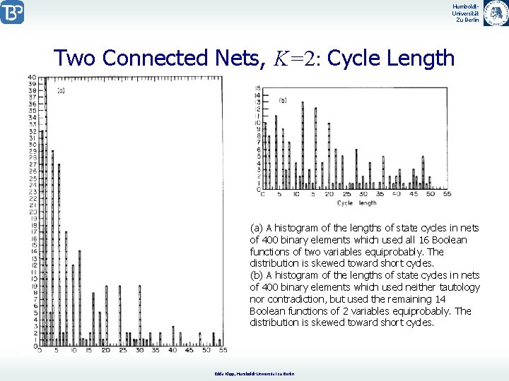 Humboldt. Universität Zu Berlin Two Connected Nets, K=2: Cycle Length (a) A histogram of