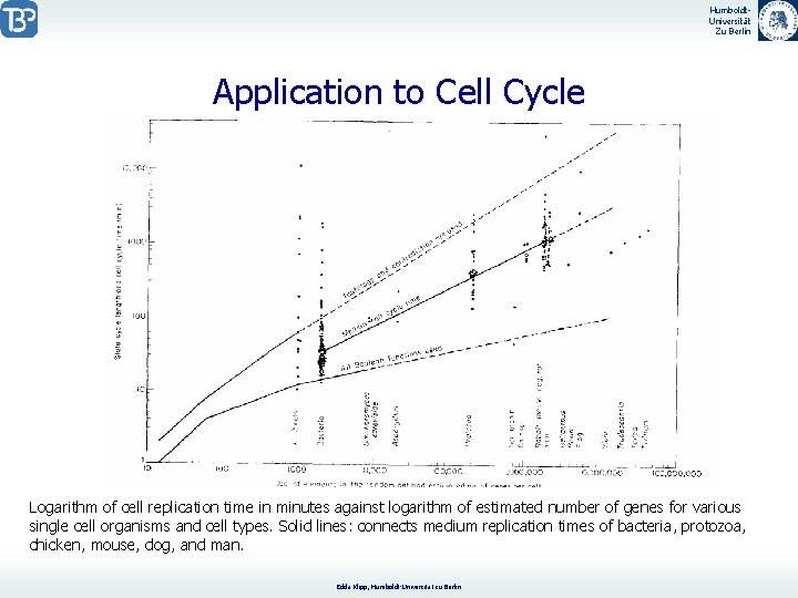 Humboldt. Universität Zu Berlin Application to Cell Cycle Logarithm of cell replication time in
